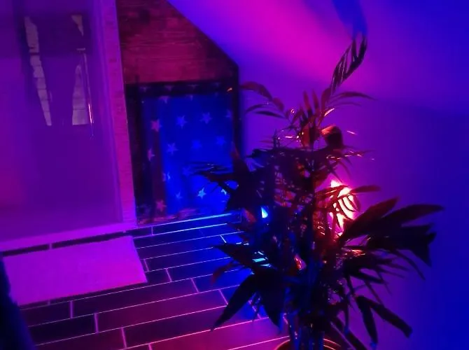 Апартаменты Wachsmann *